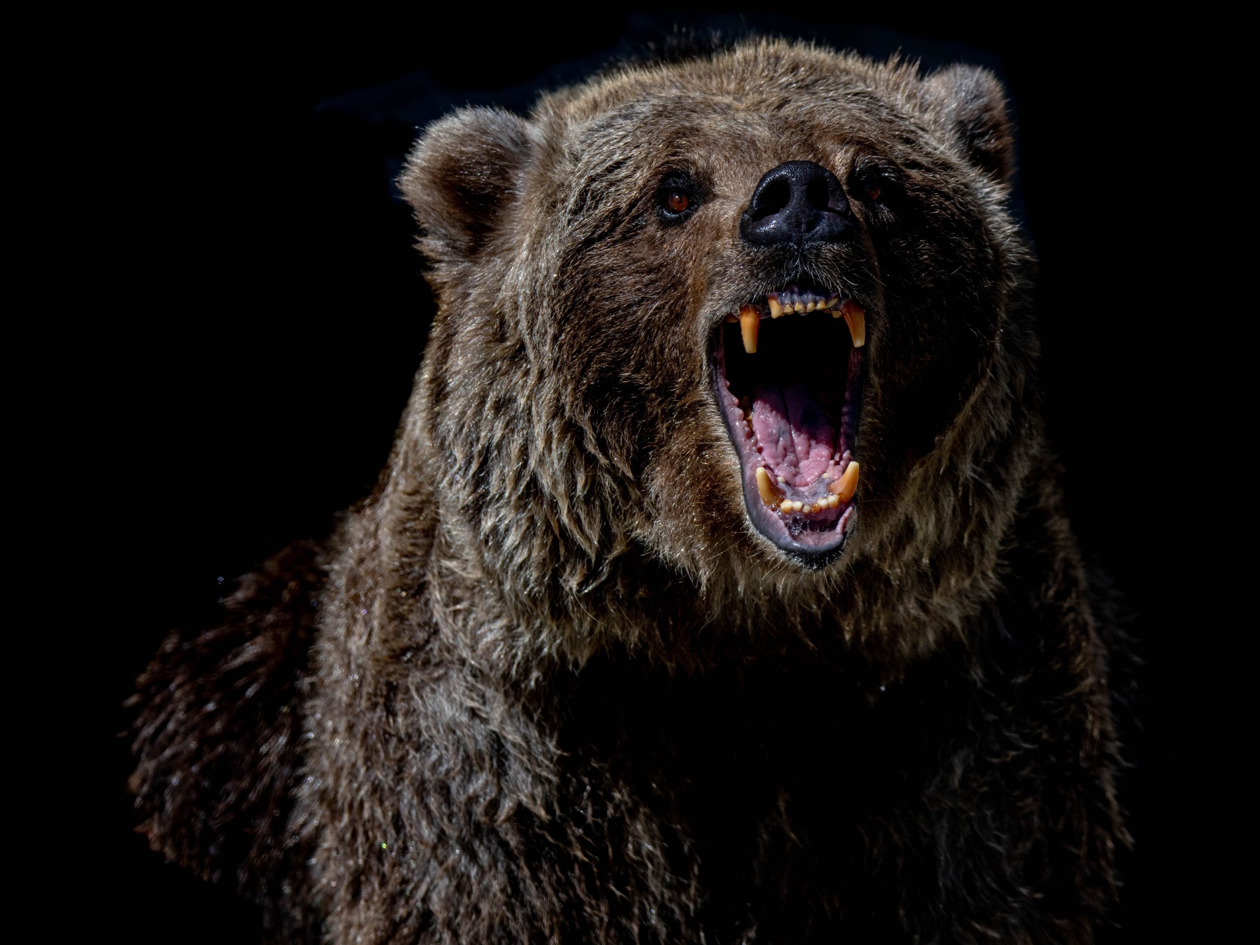 bitcoin-plunges-below-$84k-after-$115b-sell-off-wipes-out-weekly-gains