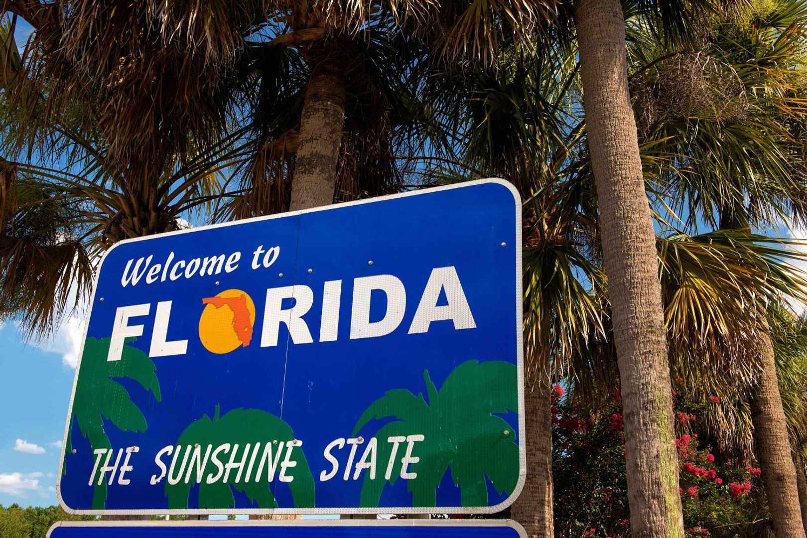 florida-withdraws-strategic-bitcoin-reserve-bills-from-consideration