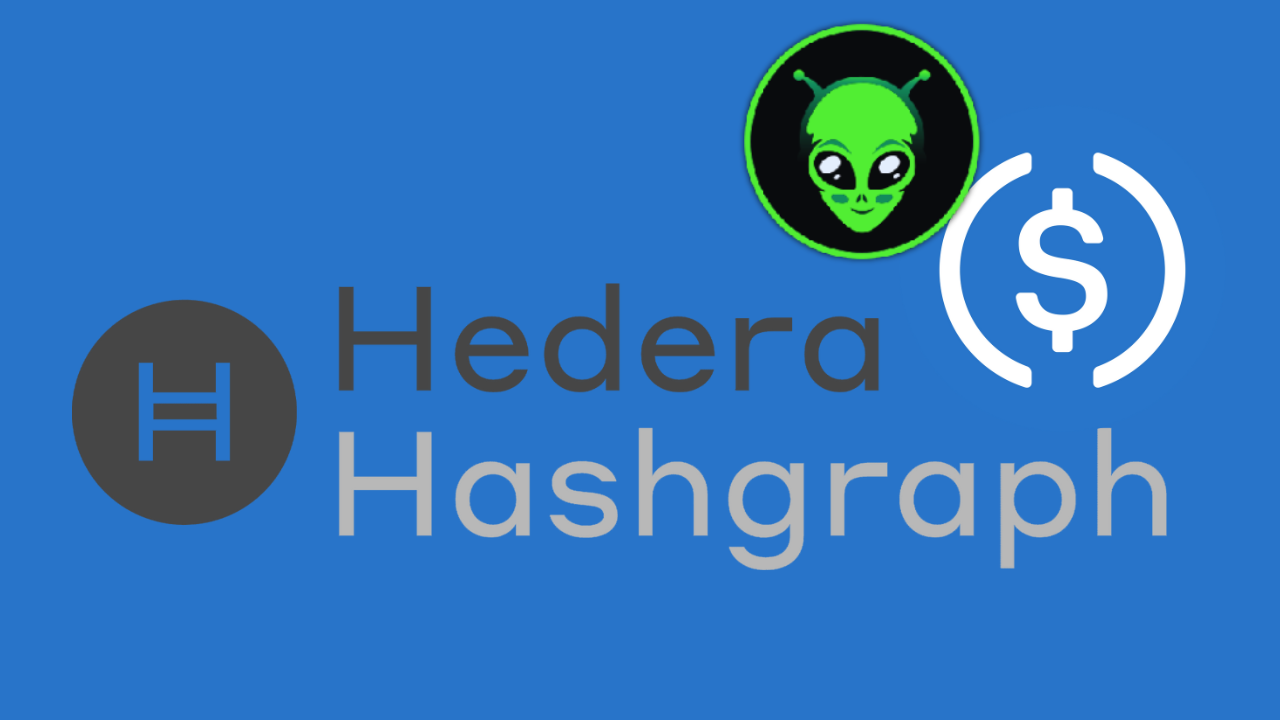 hedera-q1-much-to-be-expected-despite-strong-stablecoin-usage