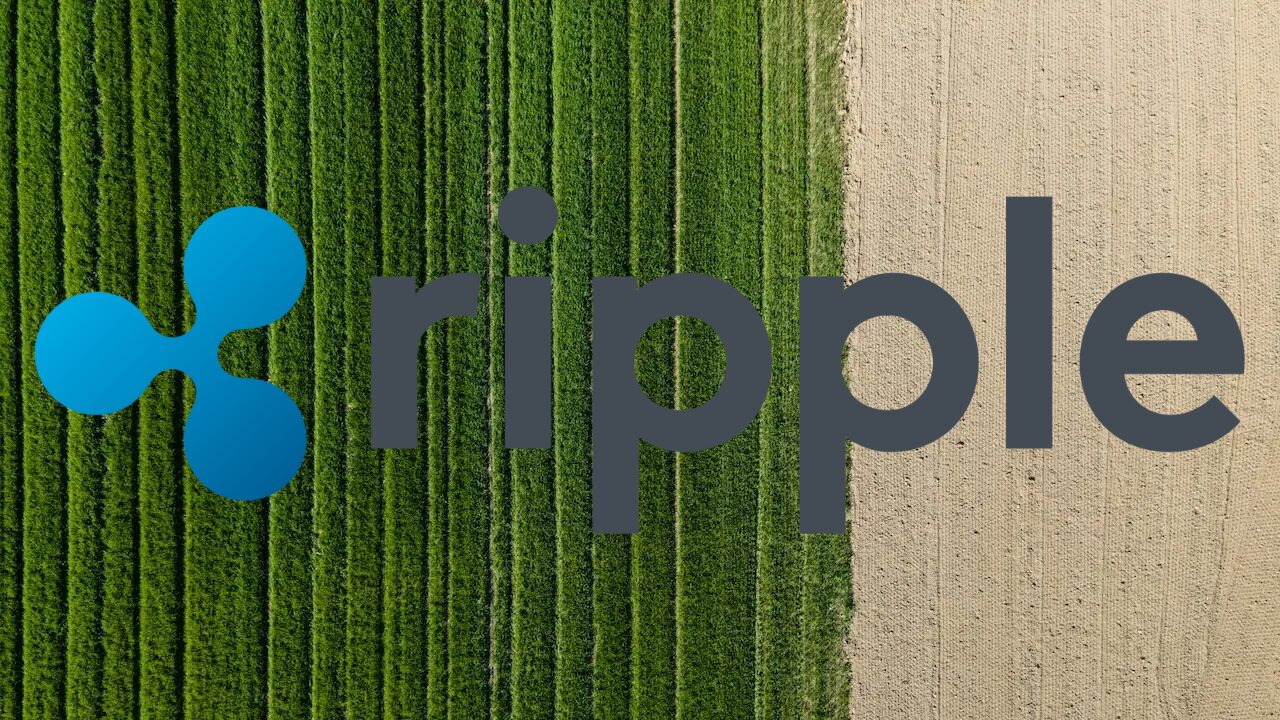 ripple-to-utilize-xrp-ledger-to-boost-incomes-of-farmers-in-colombia