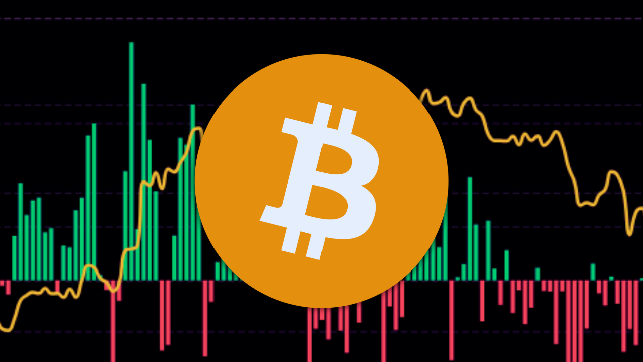 bitcoin-etfs-break-records-as-altcoins-xrp-hbar-algo-await-new-investments