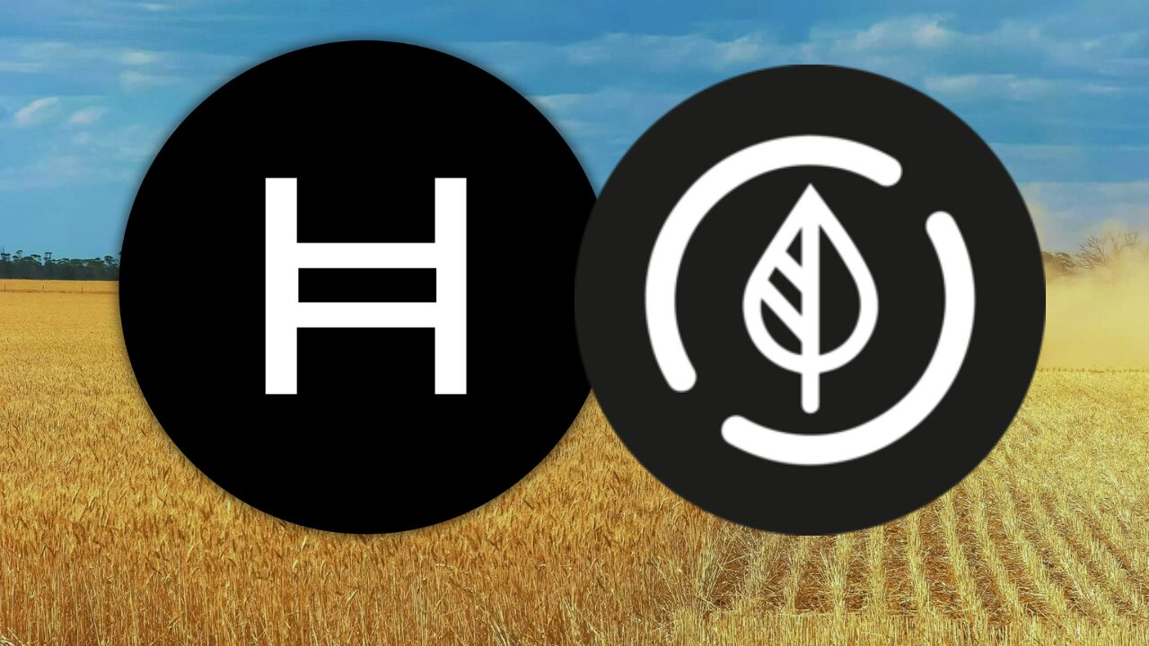 carbon-credits-to-be-minted-on-hedera-hbar-as-dovu-tokenizes-$1.1b-in-assets