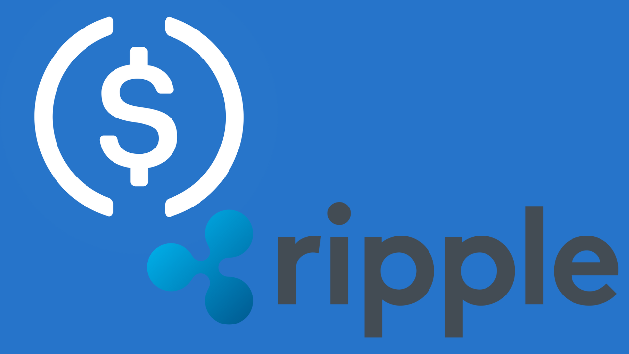 ripple-ceo-denies-rumors-of-circle-acquisition-amid-$1.1-billion-ipo-surge