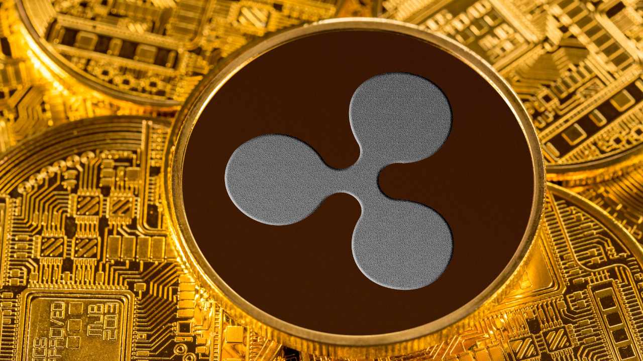 ripple-backs-xrp-ledger-startups-in-japan-with-up-to-$200k-per-project
