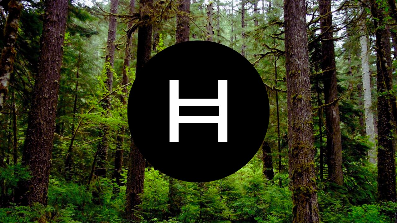 is-hedera-hashgraph-the-most-sustainable-network?