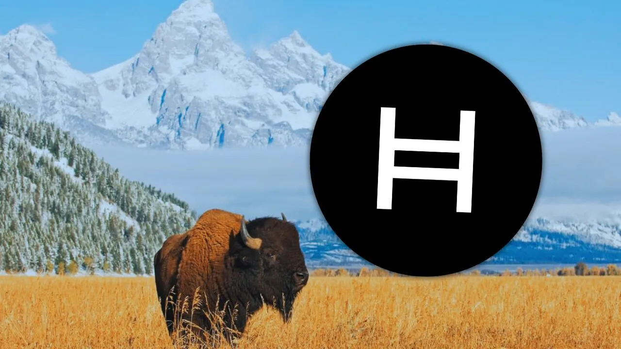 why-was-hedera-selected-to-host-the-wyoming-frontier-stablecoin?