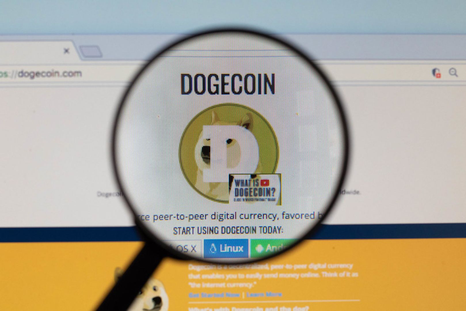 could-a-dogecoin-etf-be-launched-in-the-us.-this-week?
