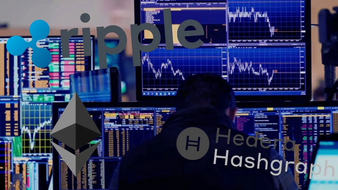 why-tokens-like-hbar,-xrp-and-link-are-leading-crypto-cycle-interest