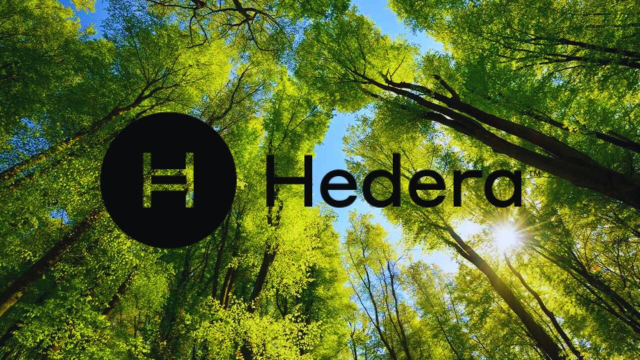 how-hedera-hbar-can-transform-the-sustainability-industry