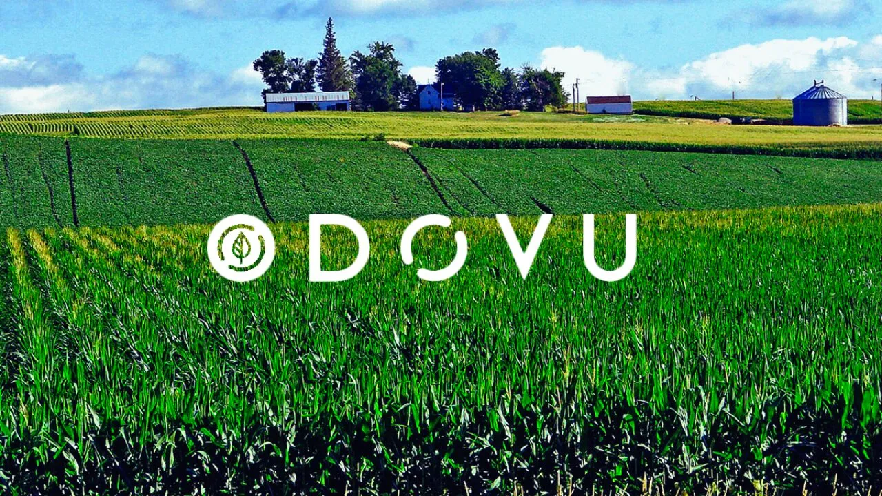 what-is-dovu-on-hedera?-sustainability-through-tokenization
