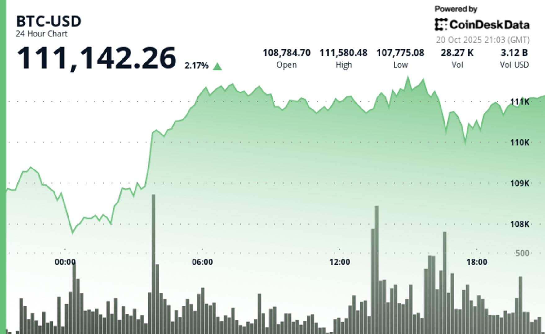 bitcoin-bounce-stalls-as-xrp,-zcash-lead-gains;-arca-says-rally-not-a-dead-cat-bounce