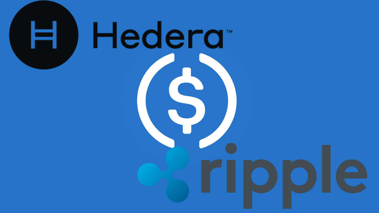 differecnes-between-ripple-and-hedera-stablecoin-adoption-paths