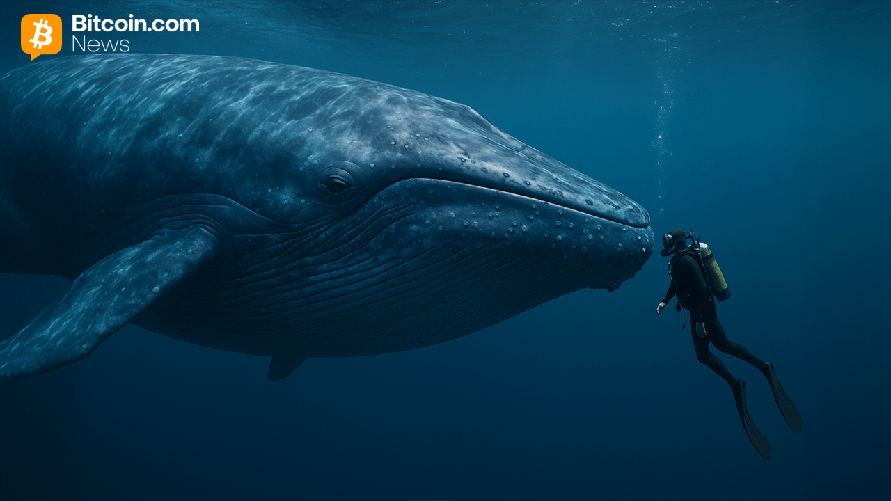 ancient-bitcoin-awakens:-2011-wallet-shifts-4,000-btc-after-14-years-of-silence