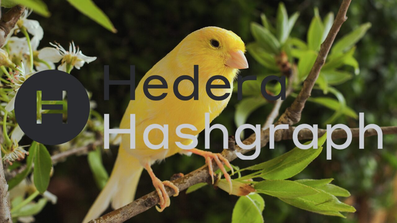 canary-spot-hbar-etf-launch:-a-defining-moment-for-hedera