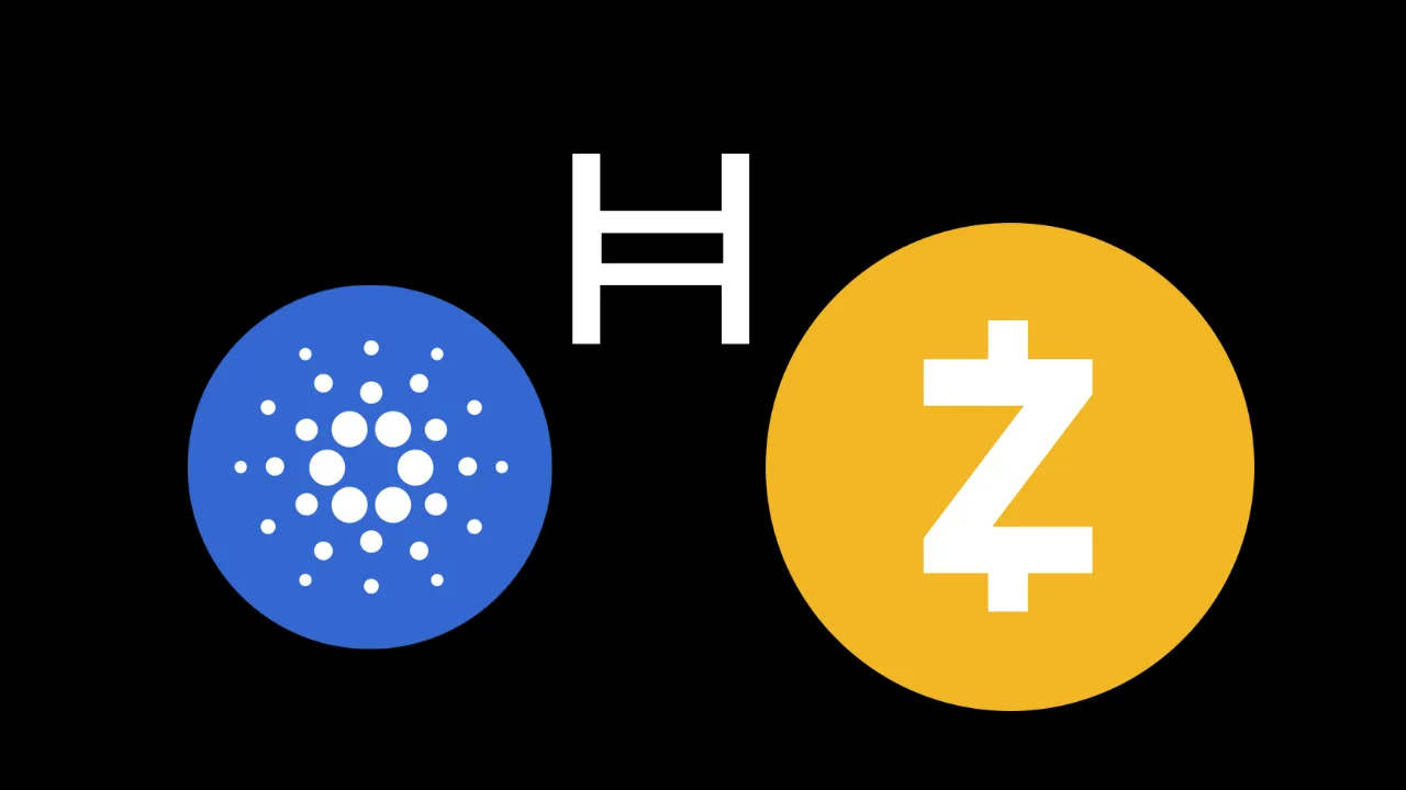 can-privacy-chains-like-hashsphere,-midnight-&-zcash-be-encourage-tradfi-adoption?