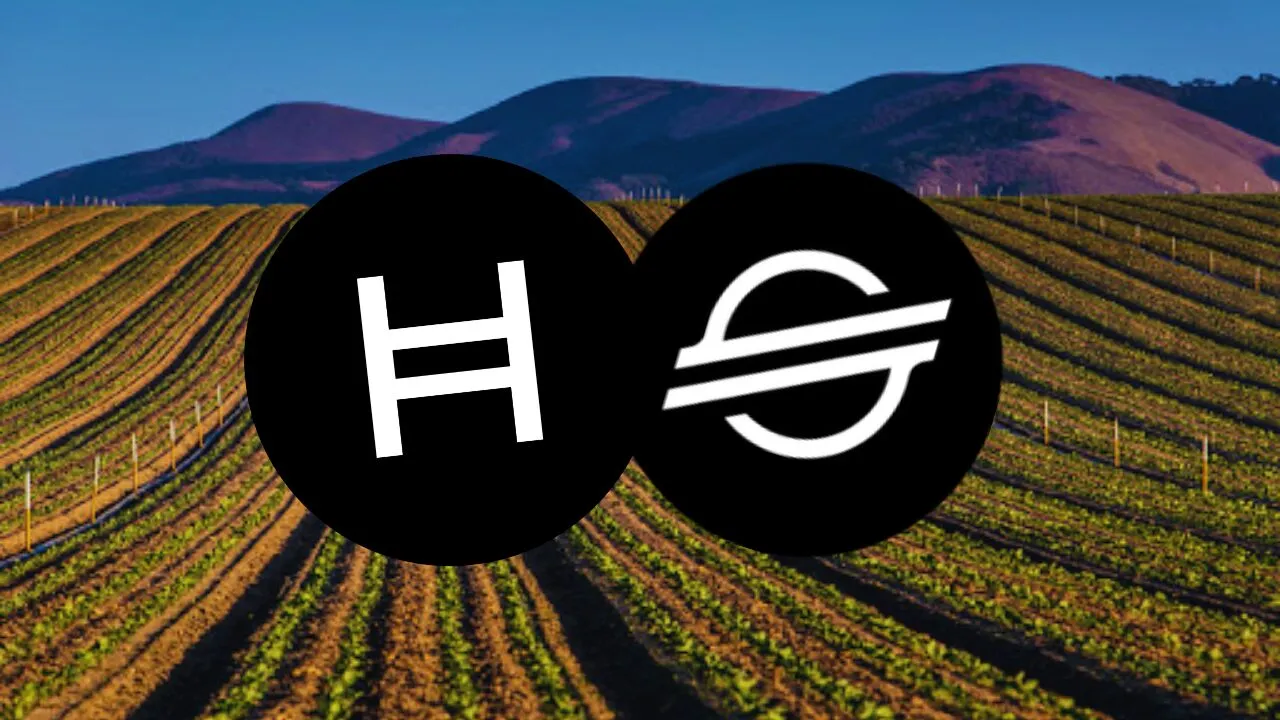 hedera-hbar-vs.-stellar-xlm:-financial-inclusion-at-scale