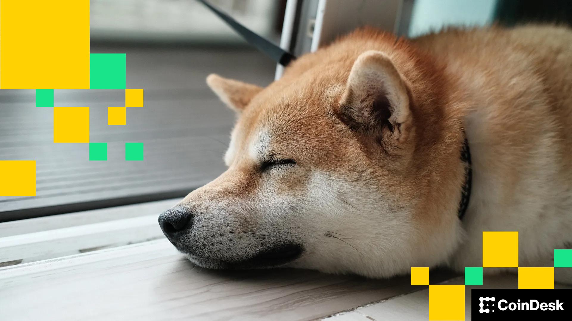 price-action-of-dog-memecoins-dogecoin,-shiba-inu-muted-amid-thin-holiday-liquidity