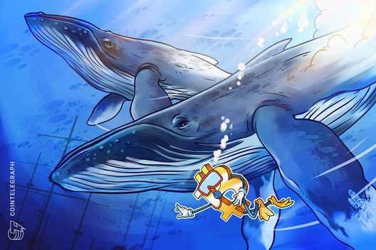 no,-whales-are-not-accumulating-massive-amounts-of-bitcoin:-cryptoquant